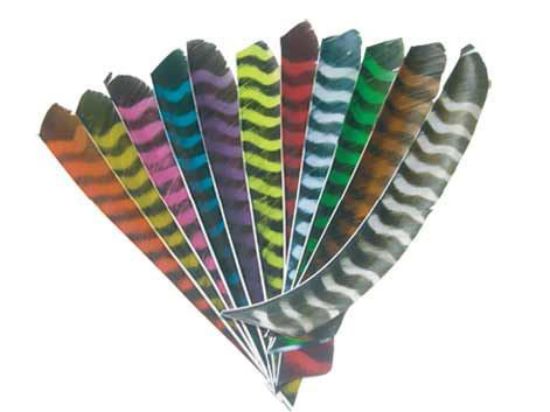 Feathers Full Length Barred